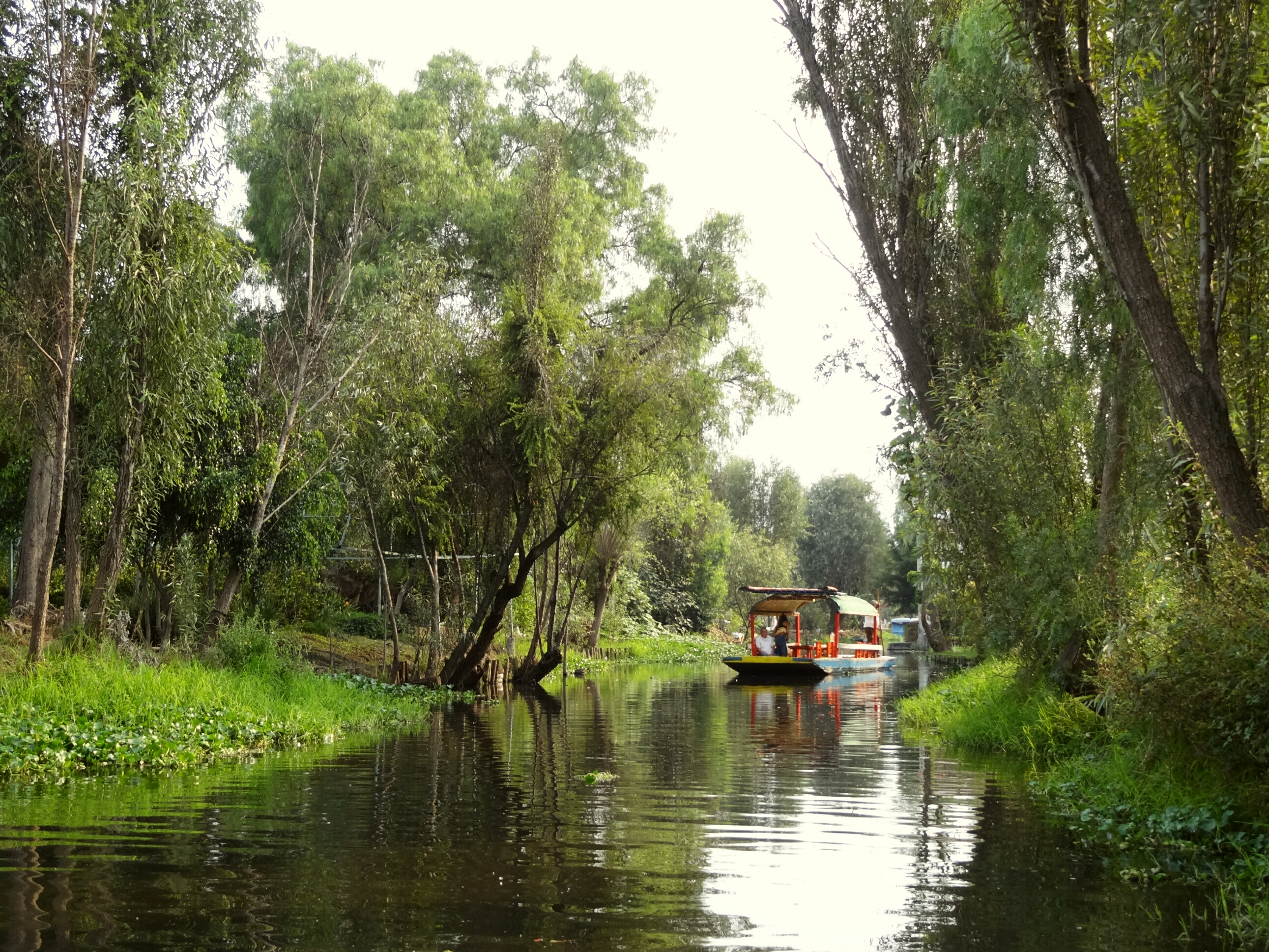 Chinampas The Floating Gardens Of A Sinking City Field Study Of